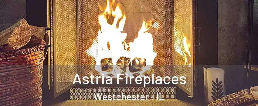  Astria Fireplaces Westchester - IL