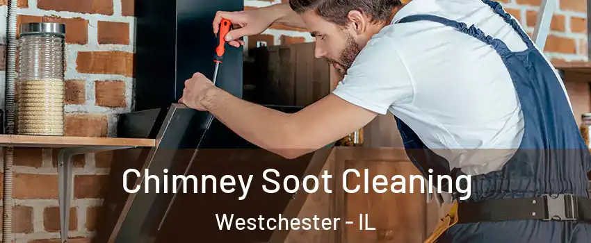  Chimney Soot Cleaning Westchester - IL