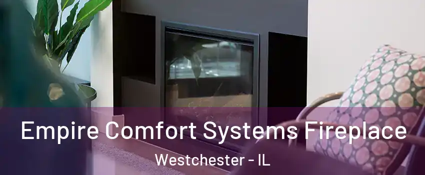  Empire Comfort Systems Fireplace Westchester - IL