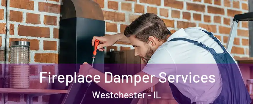 Fireplace Damper Services Westchester - IL