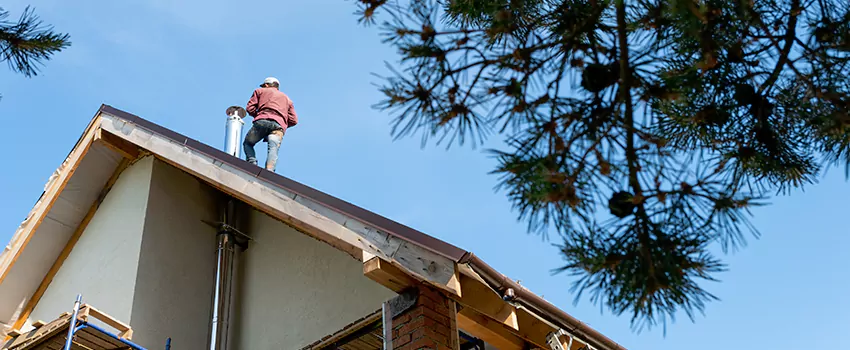 Birds Removal Contractors from Chimney in Westchester, IL